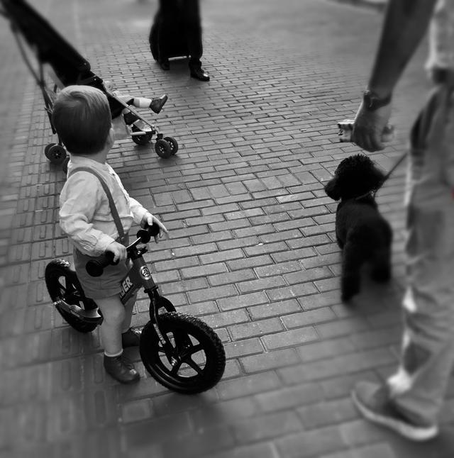 邹佩珍个人资料 邹佩真嫁人了吗