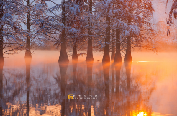 倒影拍摄技巧 利用倒影拍摄叫什么