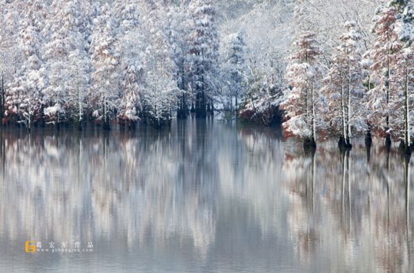 倒影拍摄技巧 利用倒影拍摄叫什么图3