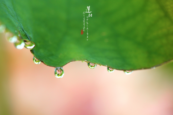 倒影拍摄技巧 利用倒影拍摄叫什么图2