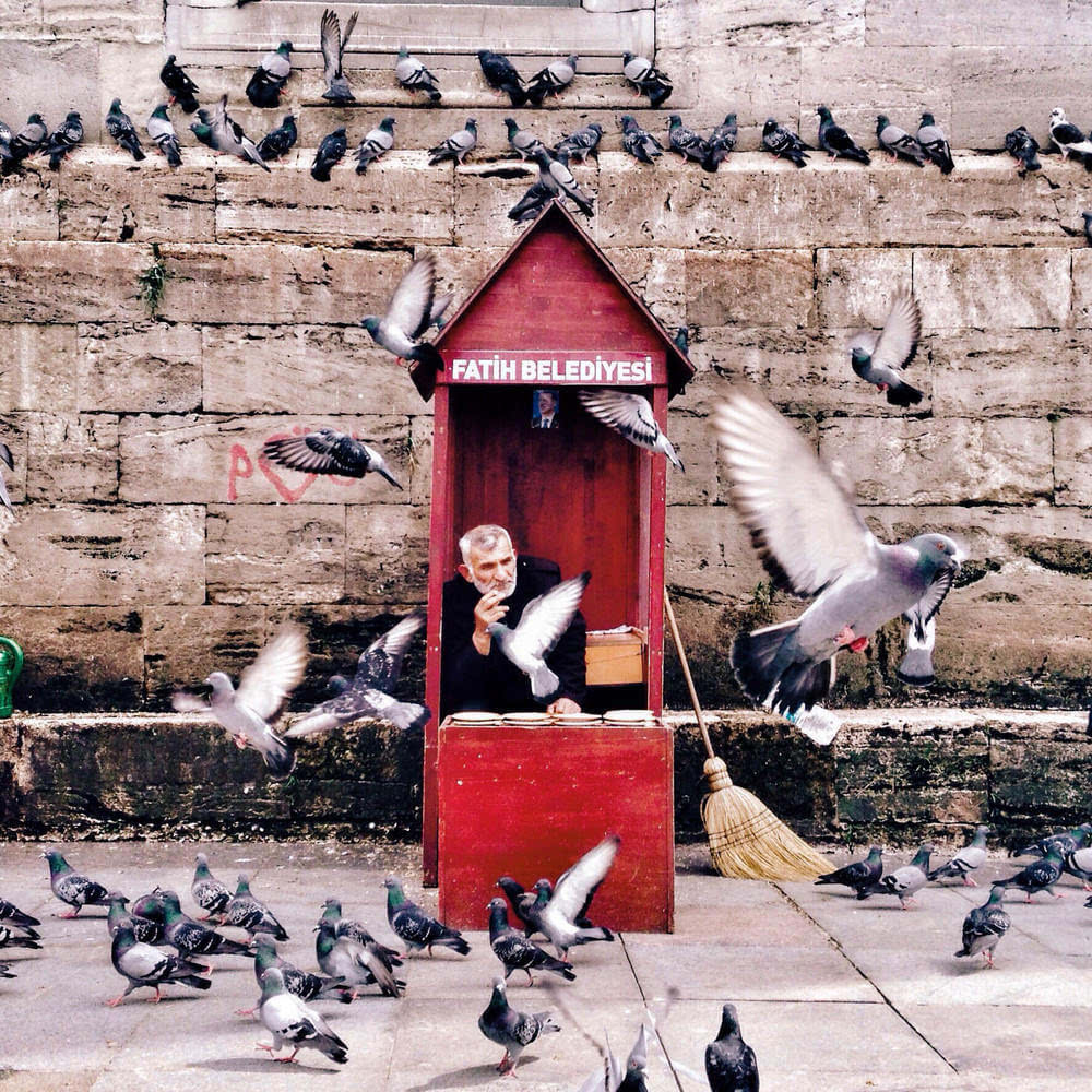 2016年ippa摄影大赛获奖作品 2015摄影大赛获奖作品