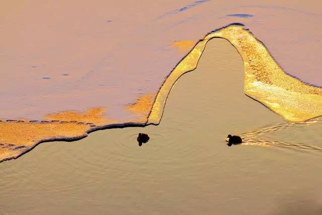 中国获奖摄影作品欣赏 中国摄影获奖作品照片