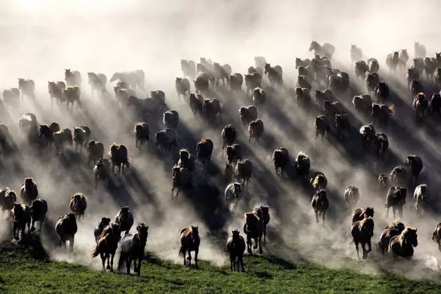 中国获奖摄影作品欣赏 中国摄影获奖作品照片