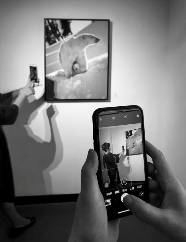 邹佩珍个人资料 邹佩真嫁人了吗