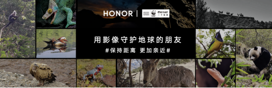 荣耀magic3实拍 荣耀magic3系列新品