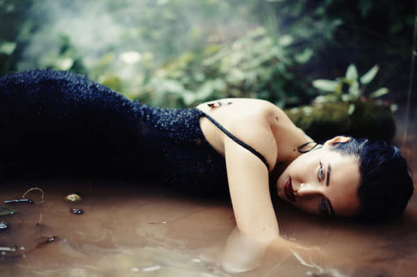 梦幻森林简介 梦幻森林是干什么的这个牌子图2