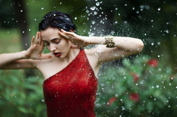 梦幻森林简介 梦幻森林是干什么的这个牌子图3