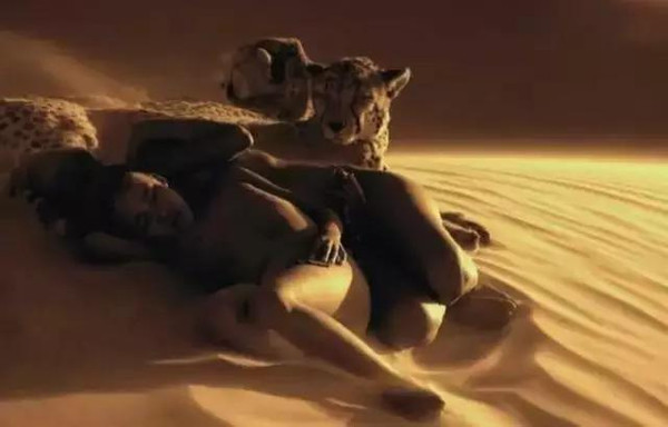 100张世界摄影名作 全球100张经典摄影作品动力