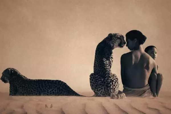 100张世界摄影名作 全球100张经典摄影作品动力