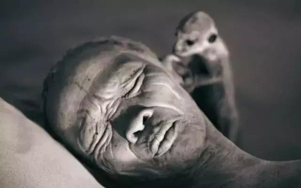 100张世界摄影名作 全球100张经典摄影作品动力