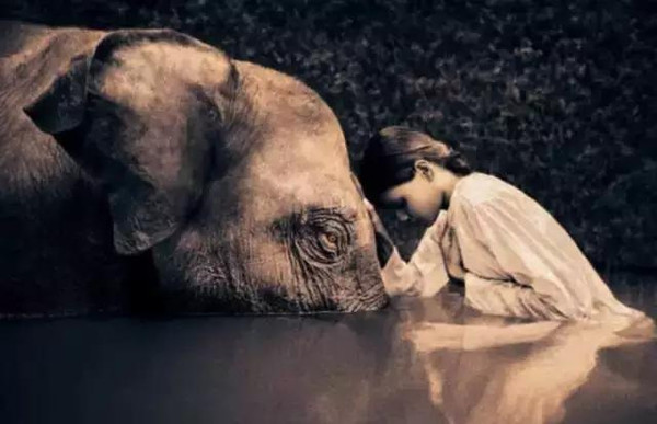 100张世界摄影名作 全球100张经典摄影作品动力