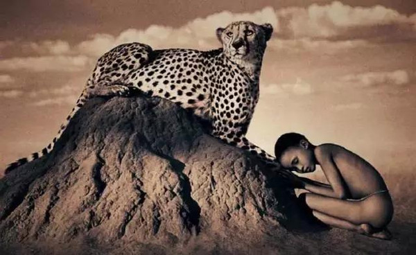 100张世界摄影名作 全球100张经典摄影作品动力