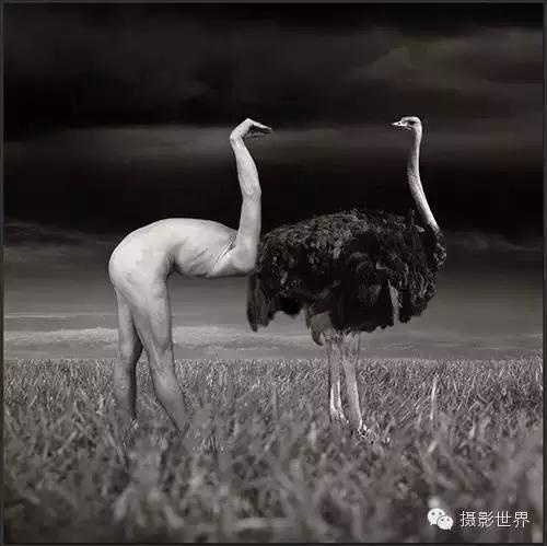 终于不再相信摄影了的说说 摄影师不可说