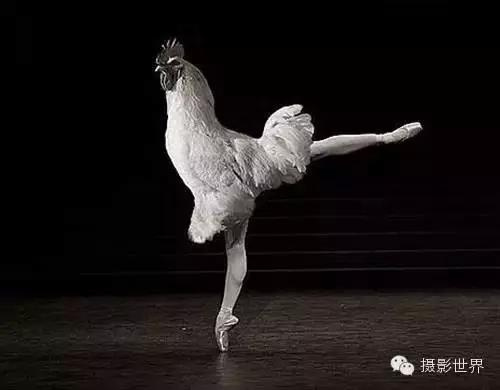 终于不再相信摄影了的说说 摄影师不可说