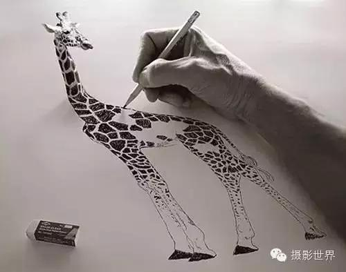 终于不再相信摄影了的说说 摄影师不可说