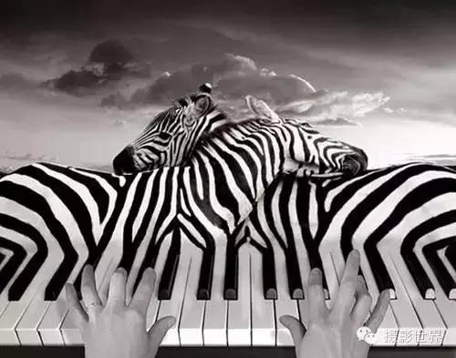 终于不再相信摄影了的说说 摄影师不可说图2