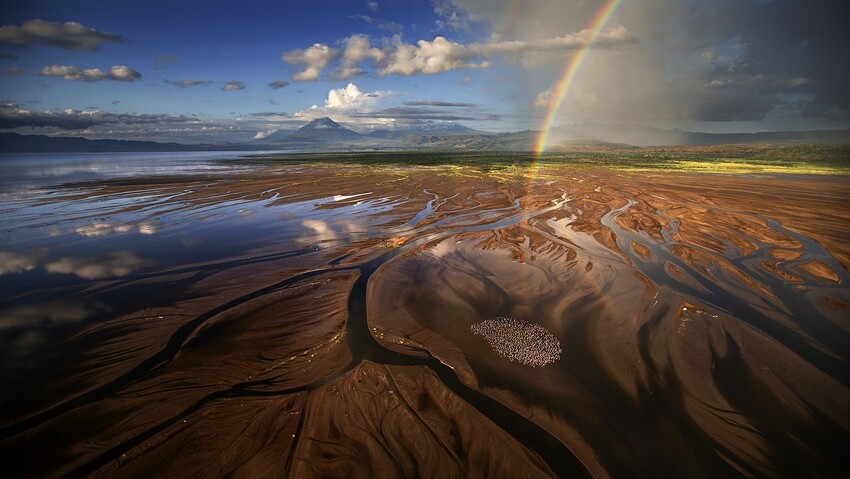 荒野生存传奇 荒野生态系统