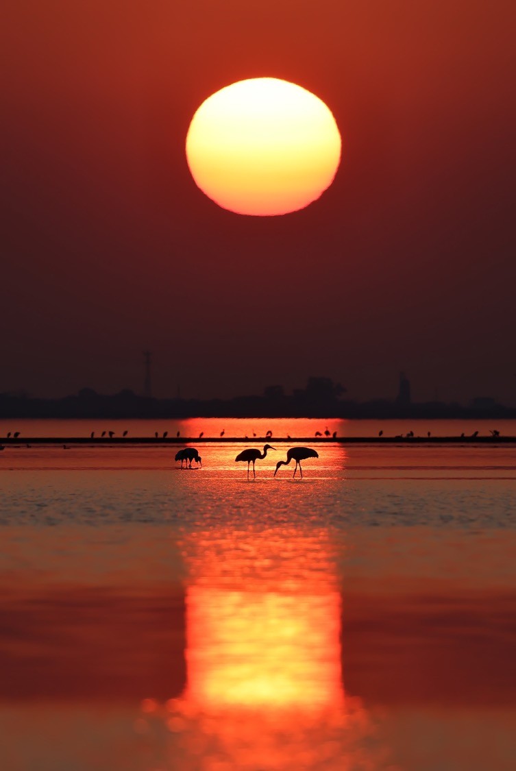 荒野生存传奇 荒野生态系统