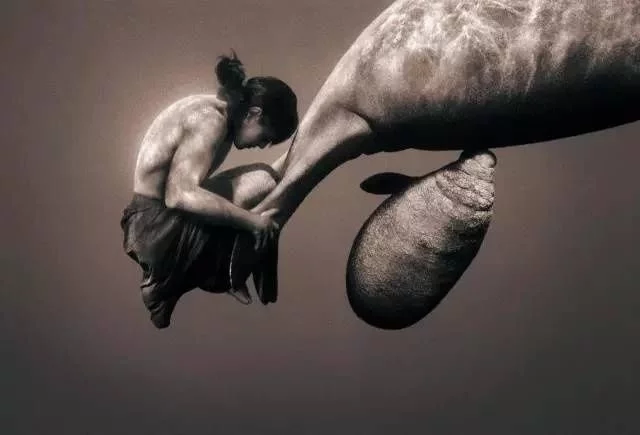 无名摄影工作室 《无名》图3