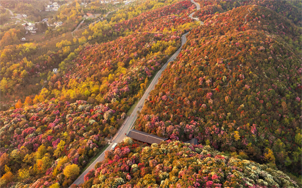 摄影作品 大赛 摄影大赛作品介绍