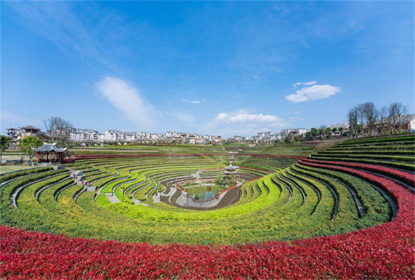 摄影作品 大赛 摄影大赛作品介绍