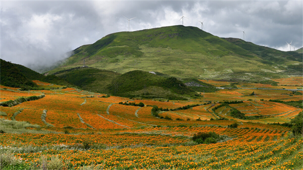 摄影作品 大赛 摄影大赛作品介绍