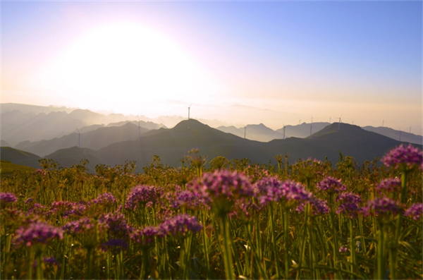 摄影作品 大赛 摄影大赛作品介绍